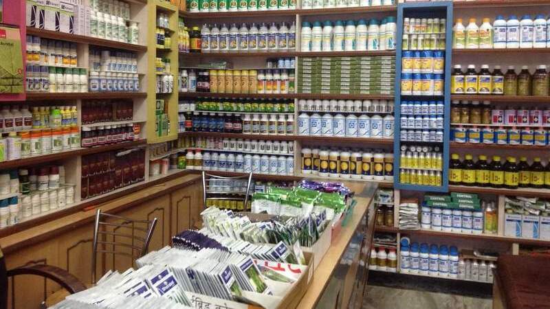 Uma loja de agropecuária com sementes dispostas sobre um balcão e prateleiras nas paredes cheias de produtos diferentes.