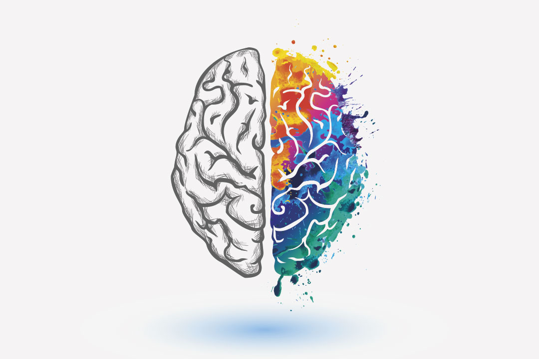 meta de um cérebro branco e metade de um cérebro colorido
