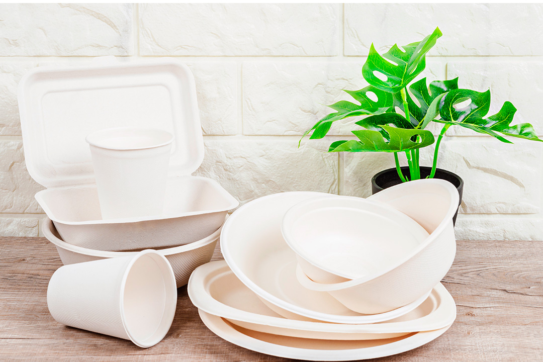 copos, pratos e vasilhas descartáveis em cima de mesa